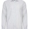 Koszula męska Rozzano w prążki, bawełna premium, Classic Fit szary prążek prrzód